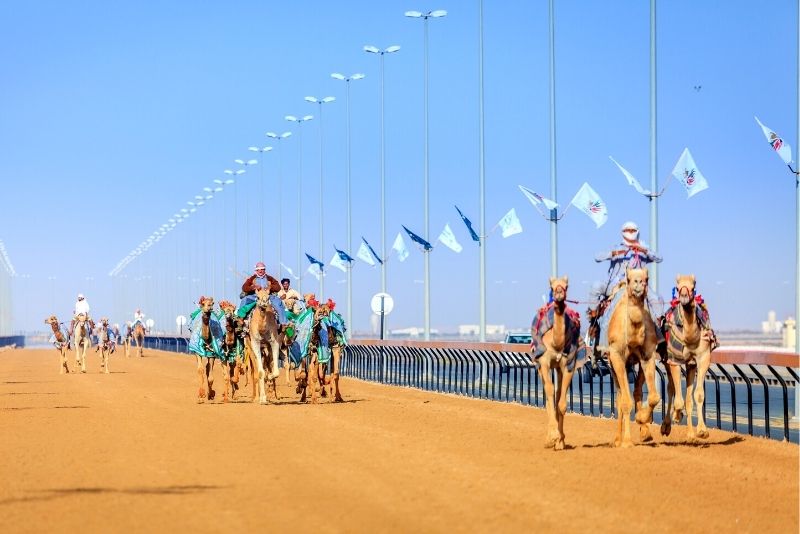 Al Marmoom Camel Race Track, Dubai