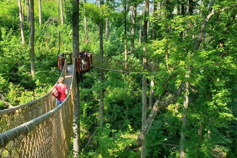 61 Fun Things To Do In Gatlinburg