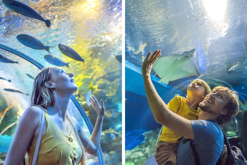 Dubai Aquarium & Underwater Zoo