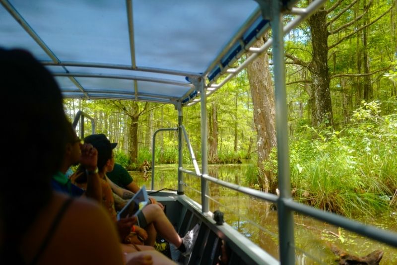 Honey Island Swamp Private Tour