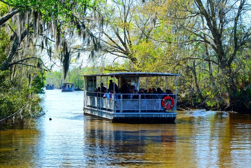 swamp fishing tour new orleans