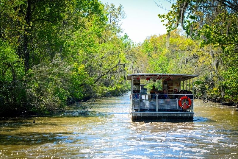 free swamp tours new orleans