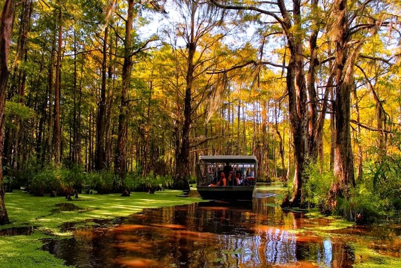 new orleans swamp and bayou boat tour with transportation