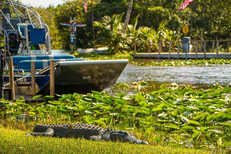 Small-Group Bayou Airboat Ride with Transport from New Orleans