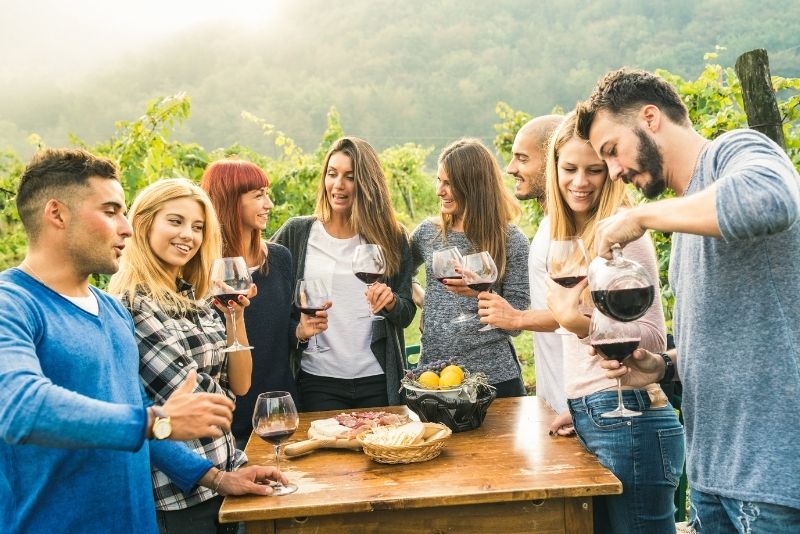 Small-Group Wine-Tasting Tour through Napa Valley