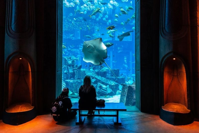 The Lost Chambers Aquarium, Dubai