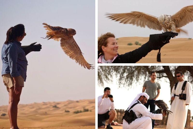 falconry in Dubai