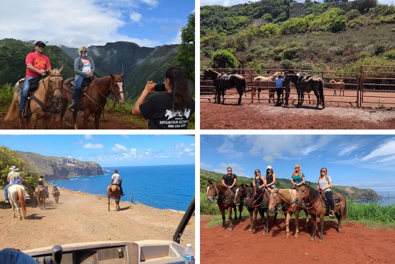 horse riding in Maui