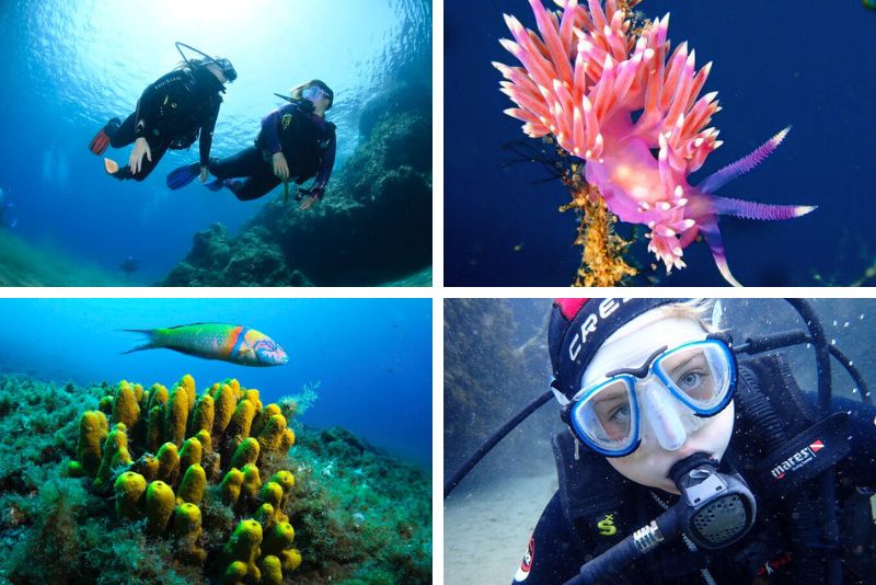 scuba diving in Lanzarote