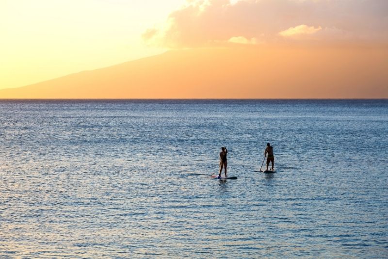 stand up paddle in Maui