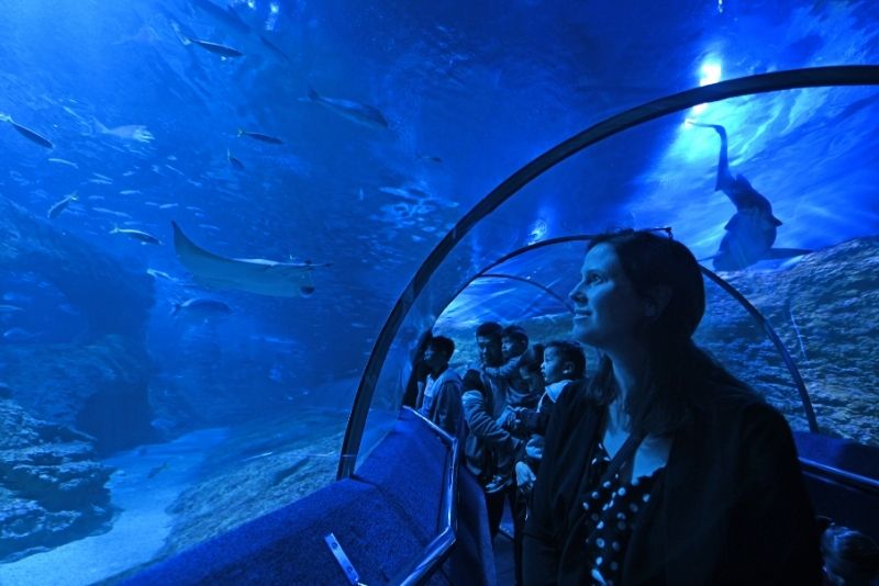 Aquarium of Western Australia, Perth