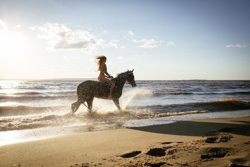 Horse riding Santorini