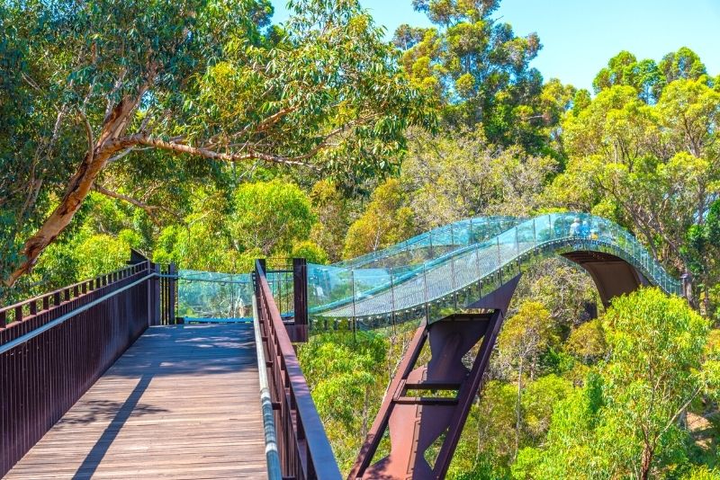 46 Fun Things to Do in Australia - TourScanner