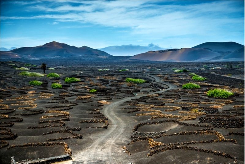 Il vigneto di geria