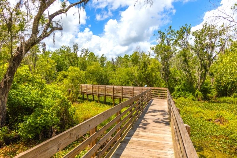 Lettuce Lake Regional Park