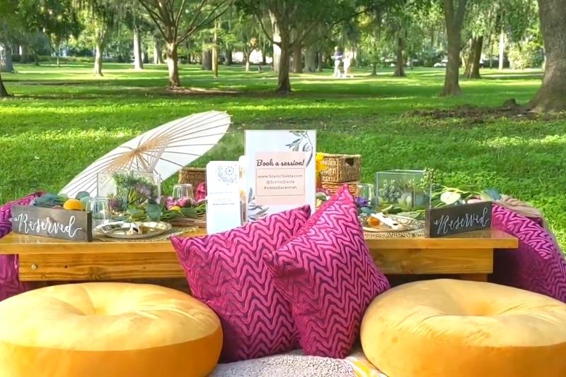 picnic in Savannah