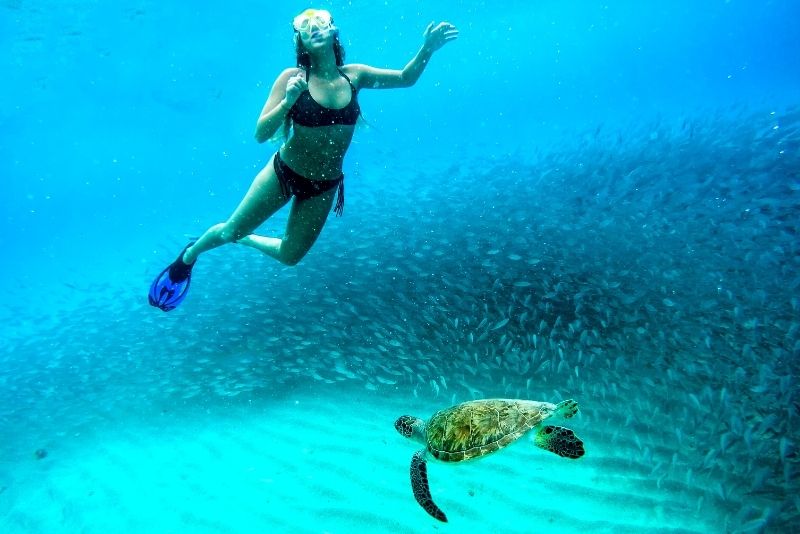 swim with turtles at Cook Island