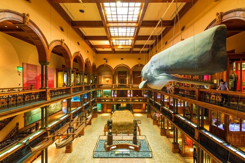 Bishop Museum, Oahu, Hawaii