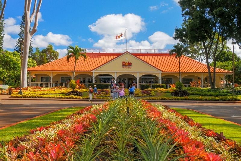 Dole Pineapple Plantation, Oahu, Hawaii