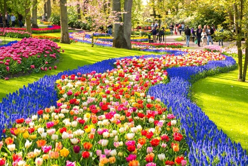 Giardini Keukenhof, Paesi Bassi