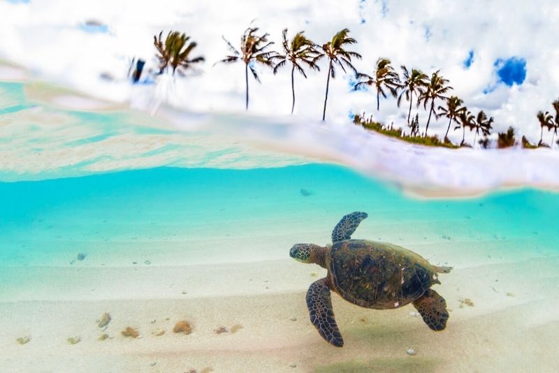 North Shore, Oahu, Hawaii