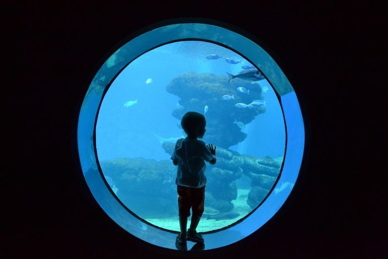 Aquarium de Palma de Majorque