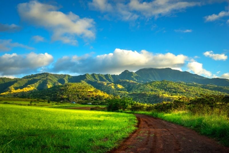 farm tour in Oahu