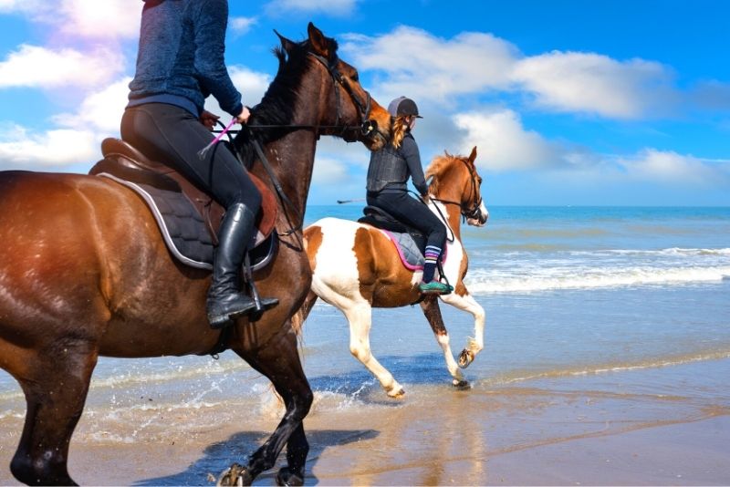 Reiten in Lissabon