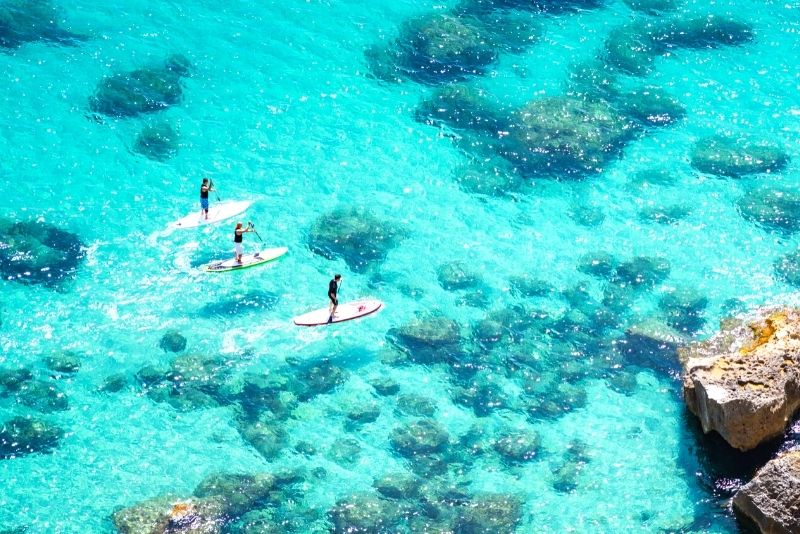 stand up paddle in Oahu