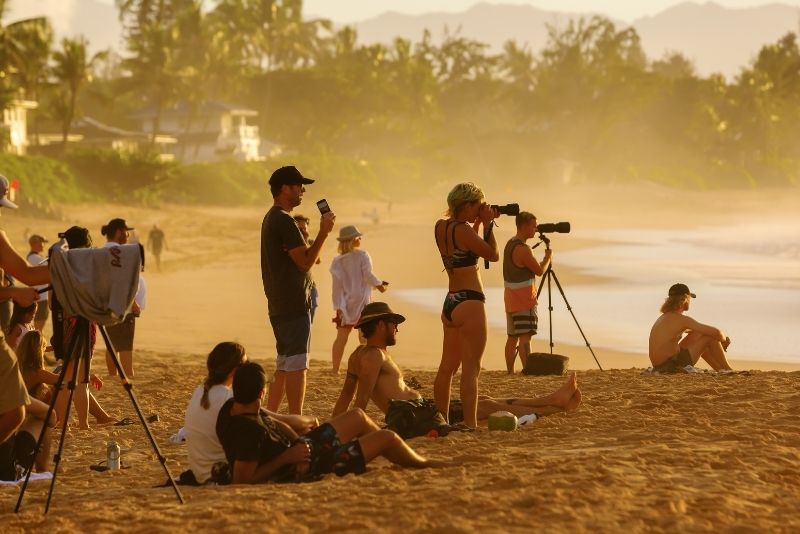 surf competition, Oahu, Hawaii