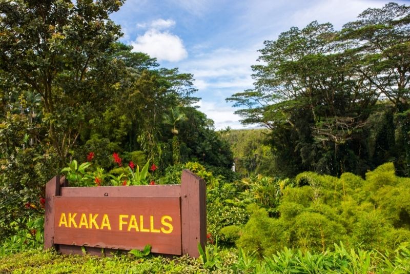Akaka Falls State Park, Big Island, Hawaii
