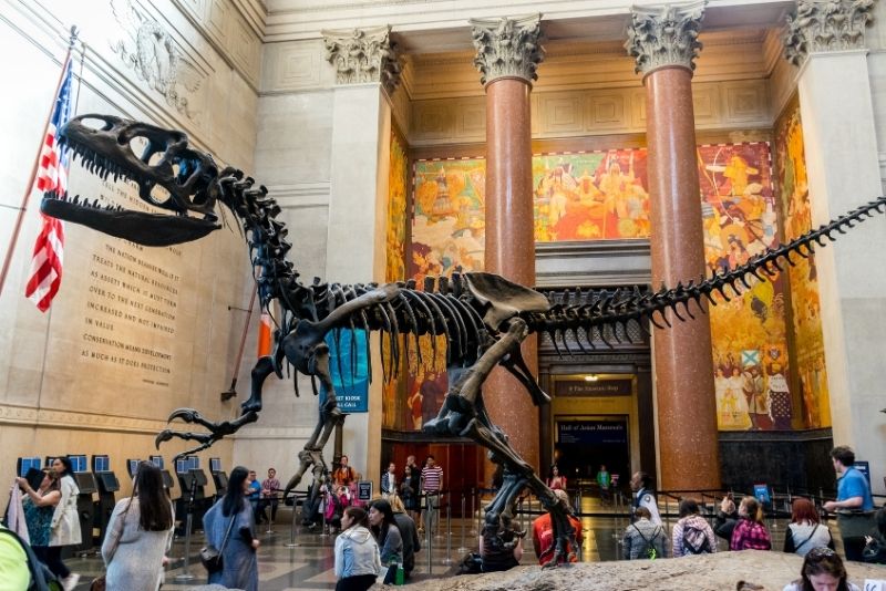 Museum of Natural History, New York