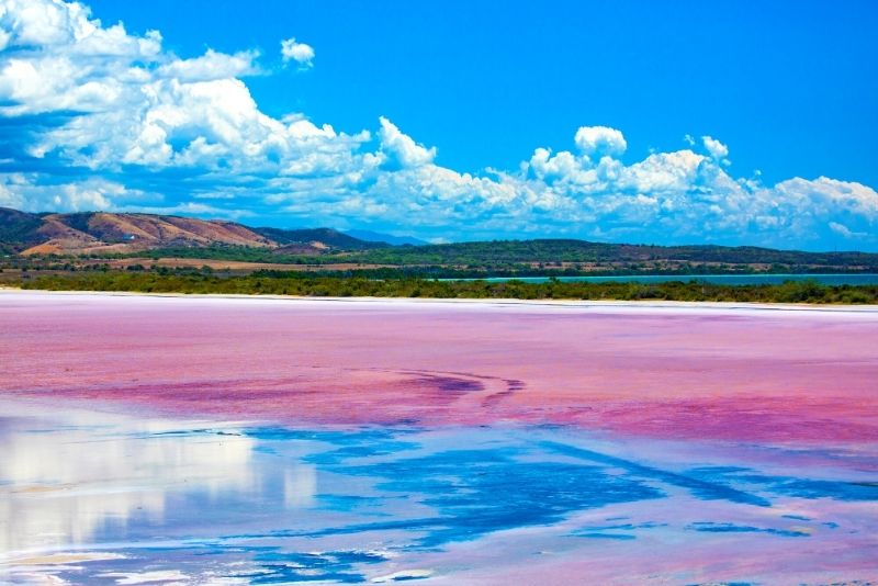 Finding Pink Lakes in Cabo Rojo: How to Visit the Salinas of Puerto Rico -  Jen on a Jet Plane