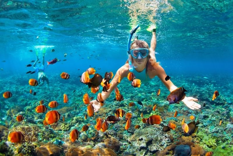 snorkeling in Kauai