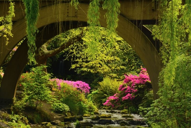 Crystal Springs Rhododendron Garden, Portland, Oregon