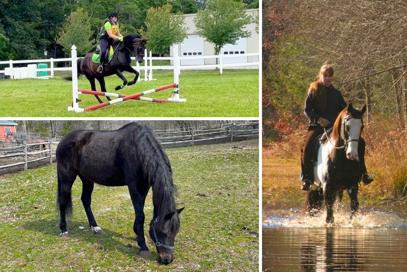 Horse Riding in Boston, Chrislar Horse Farm and Equestrian Center