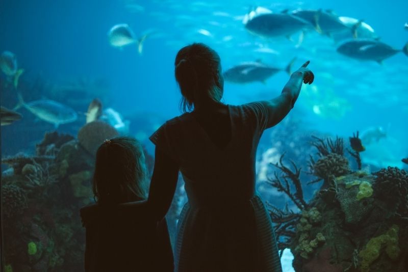SEA LIFE San Antonio, Texas