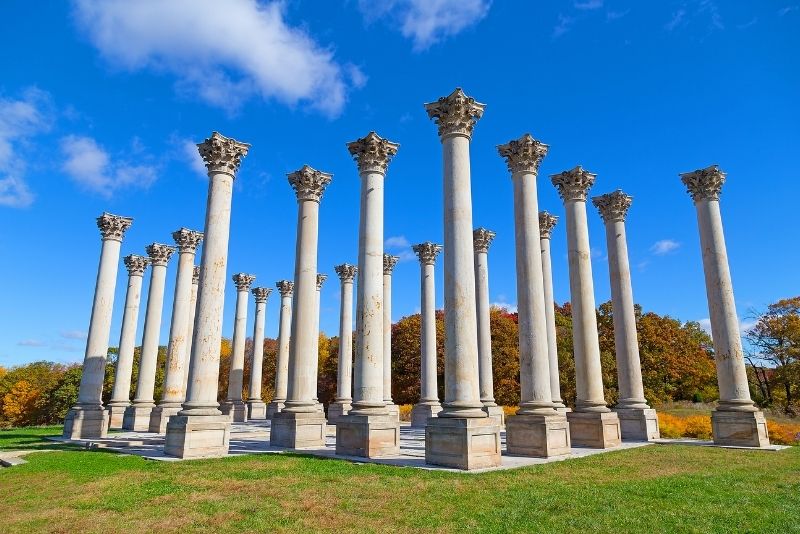 United States National Arboretum, Washington DC