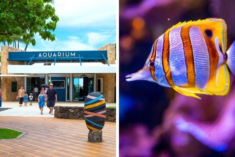 Waikiki Aquarium, Oahu