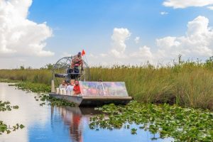 52 Fun Things To Do In Naples, Florida - Tourscanner