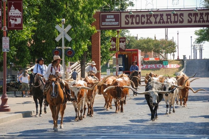 Fort Worth Stockyards are being brought back to life with this creative  partnership - Dallas Business Journal