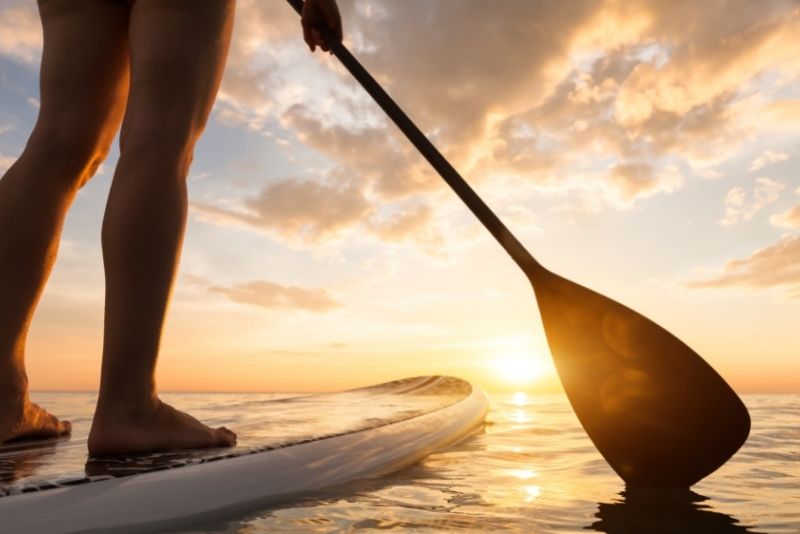 stand-up paddle in Naples, Florida
