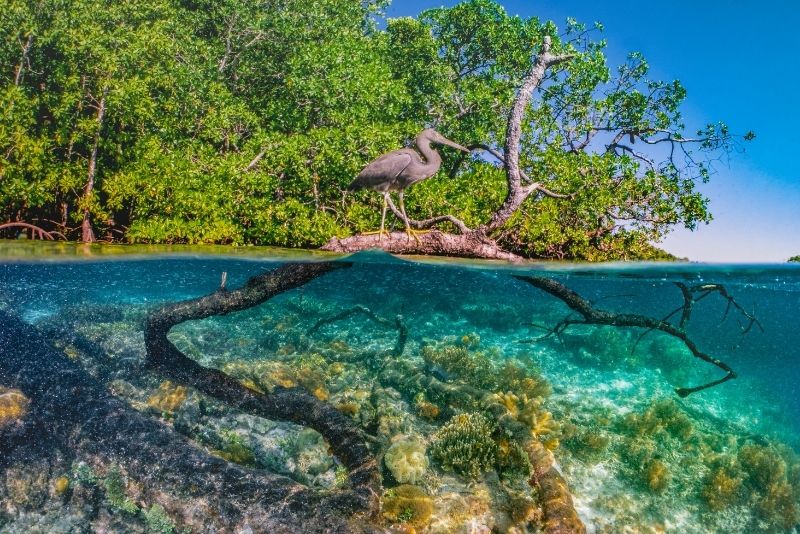 Bonefish Pond National Park in Nassau