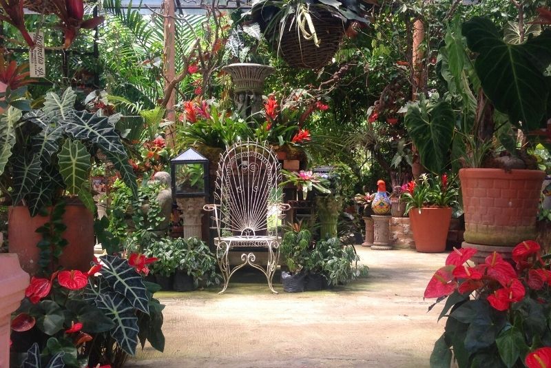 Jardines Botánicos en Puerto Vallarta