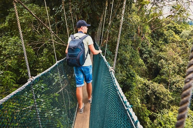 Canopy walk at Treetop Adventure Park, St Lucia