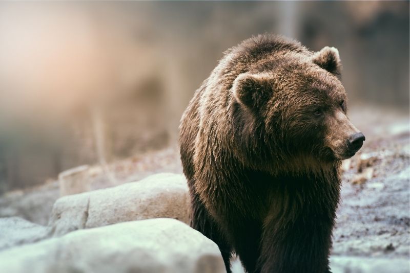 Cheyenne Mountain Zoo, Denver