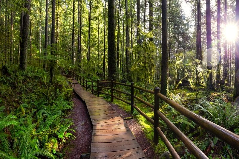 Lynn Canyon Park, Vancouver