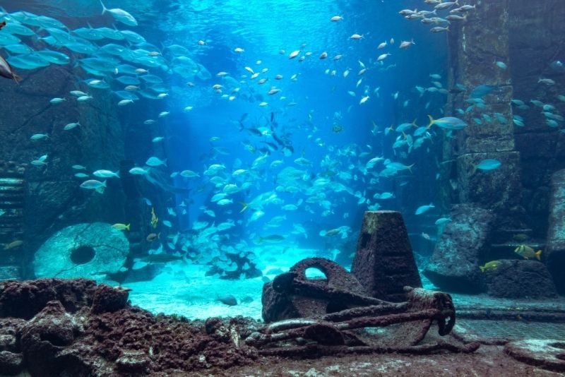 Marine Habitat, Paradise Island, The Bahamas