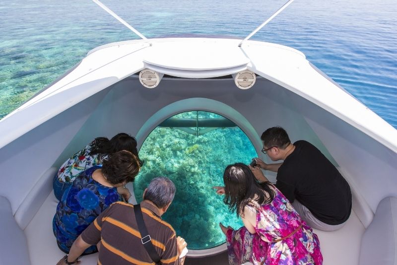 boat tours in Cabo San Lucas