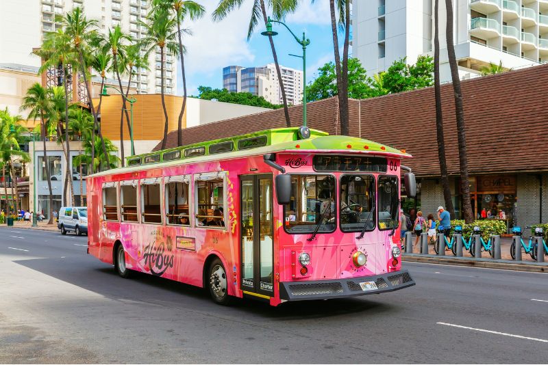bus tours in Honolulu